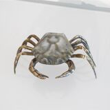 Vintage crab shape box 1960