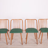 Green Dining Chairs by Antonín Šuman for Ton, 1960