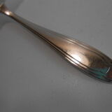 Covered service a silver metal Apollo gates