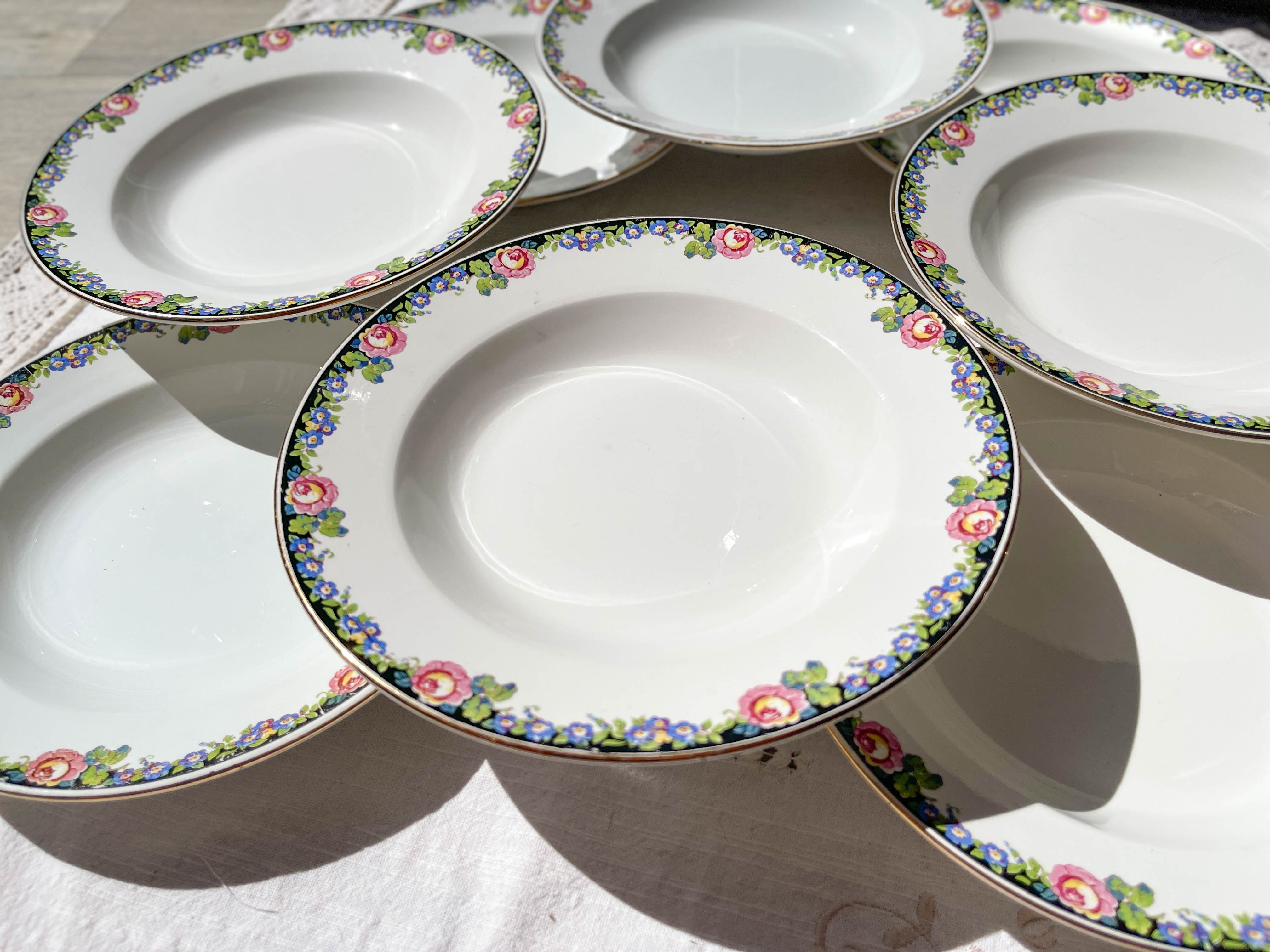 8 Digoin opaque porcelain soup plates with floral pattern "3984" ~
