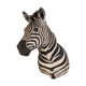 Zebra taxidermy