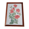 Cadre avec toile peinture vintage rosa polyantha 31cm sur 22cm