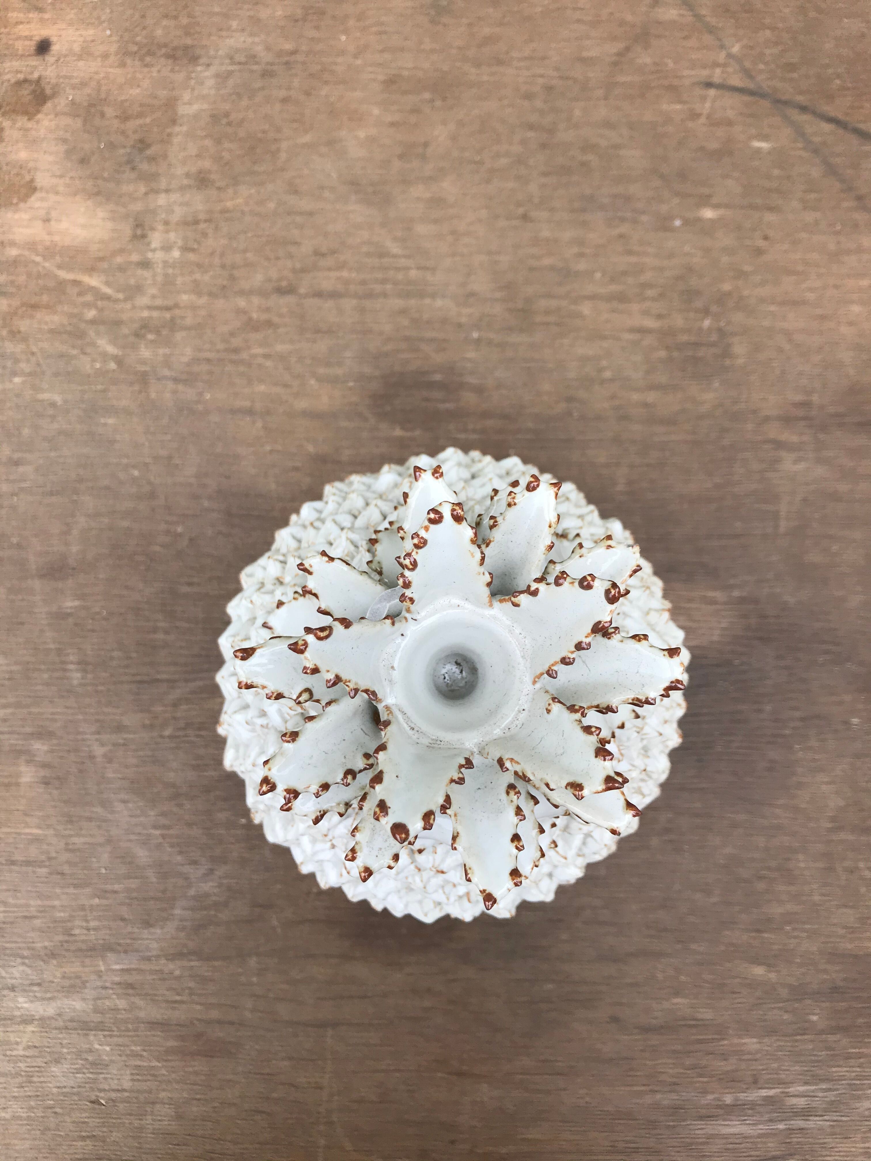 Empty pocket pineapple