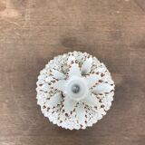 Empty pocket pineapple