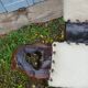 Tripod chair/stool in wood and goatskin
