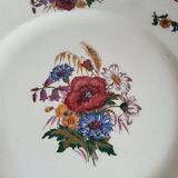 Large Round Dish Sarreguemines Agreste