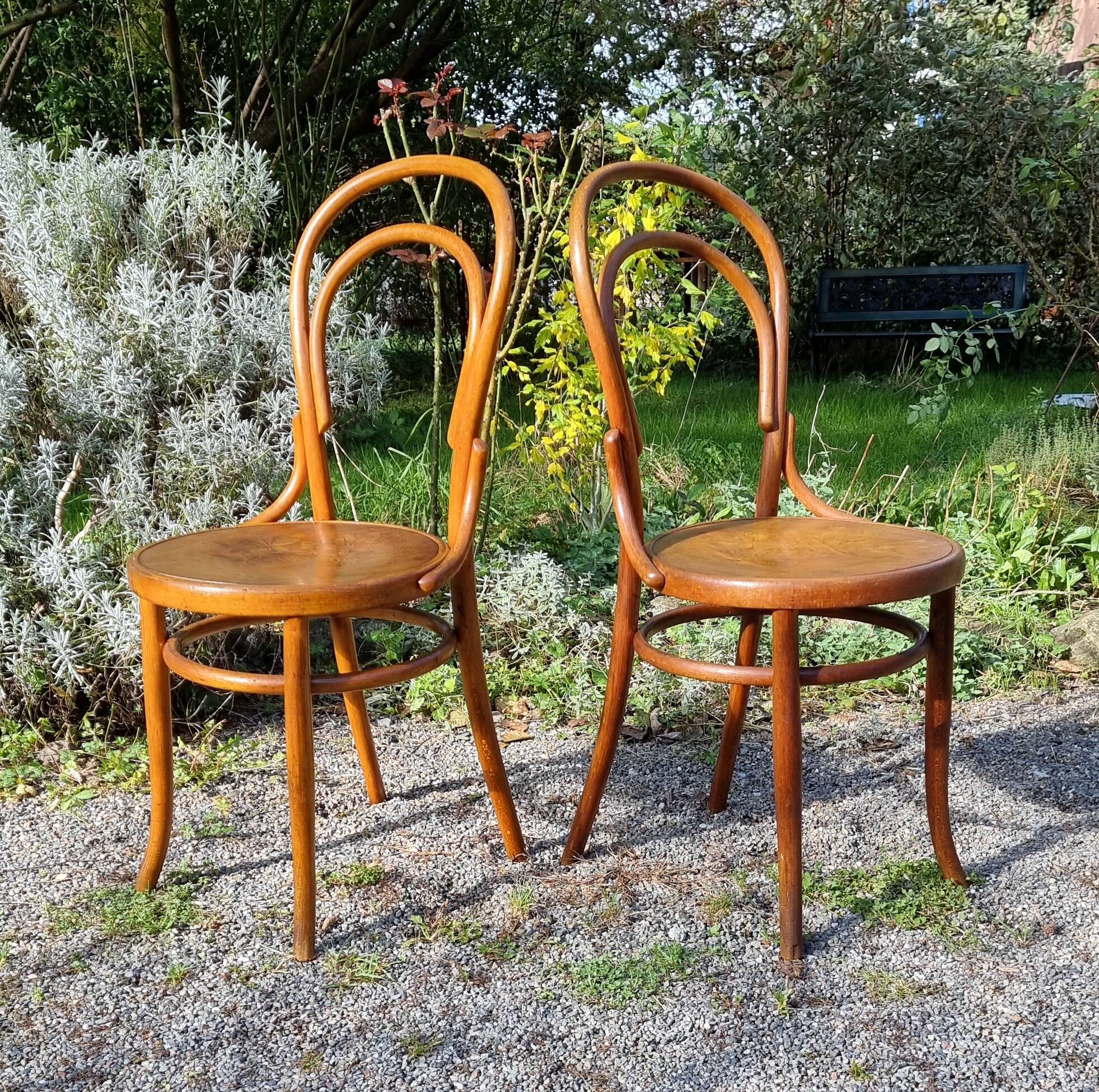 Pair of bistro chairs n°14 by Fischel austria bers 1915