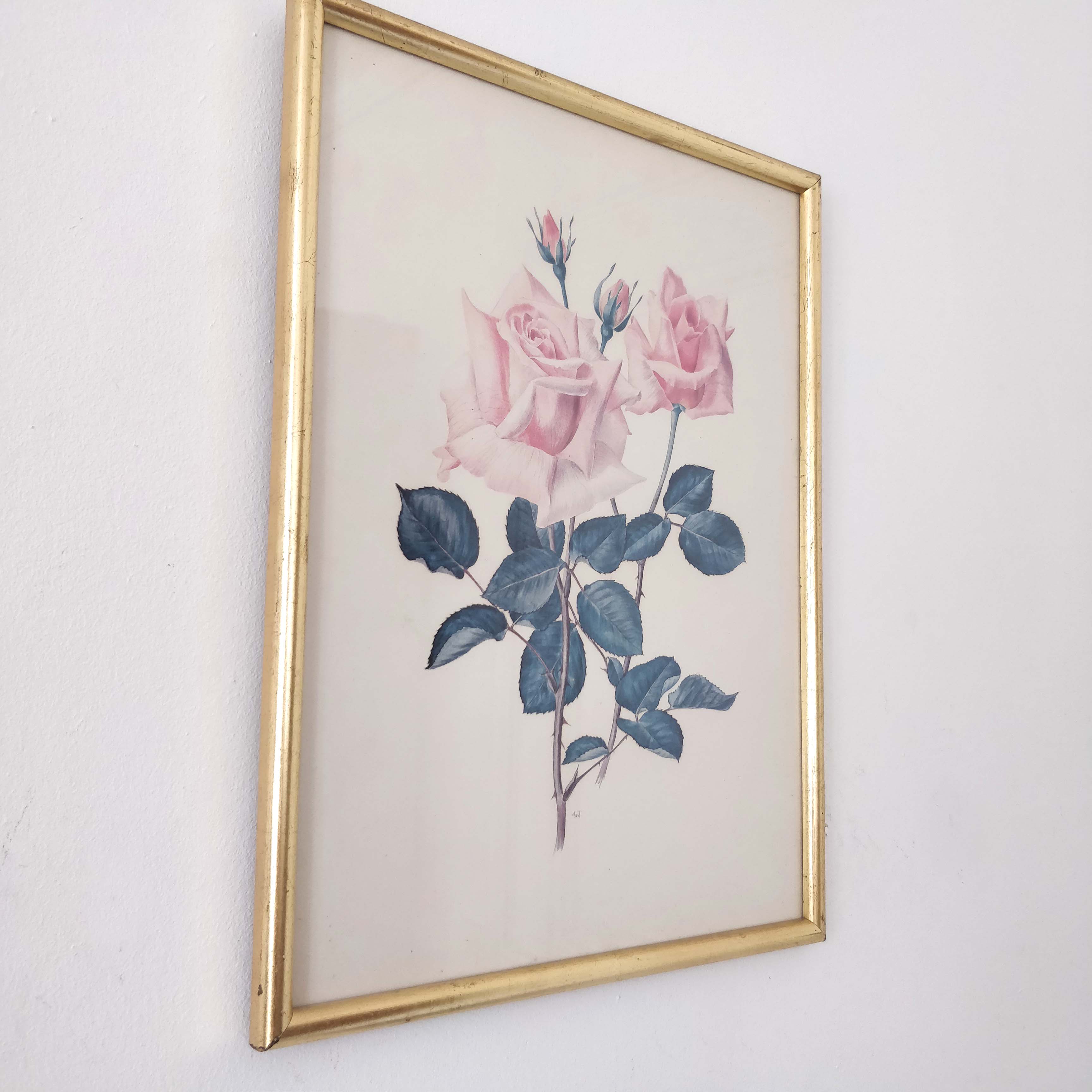 Illustration flower pink frame gilded wood