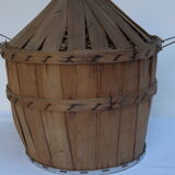Demijohn 10l