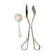 Cake tongs and spoon to sprinkle silver metal