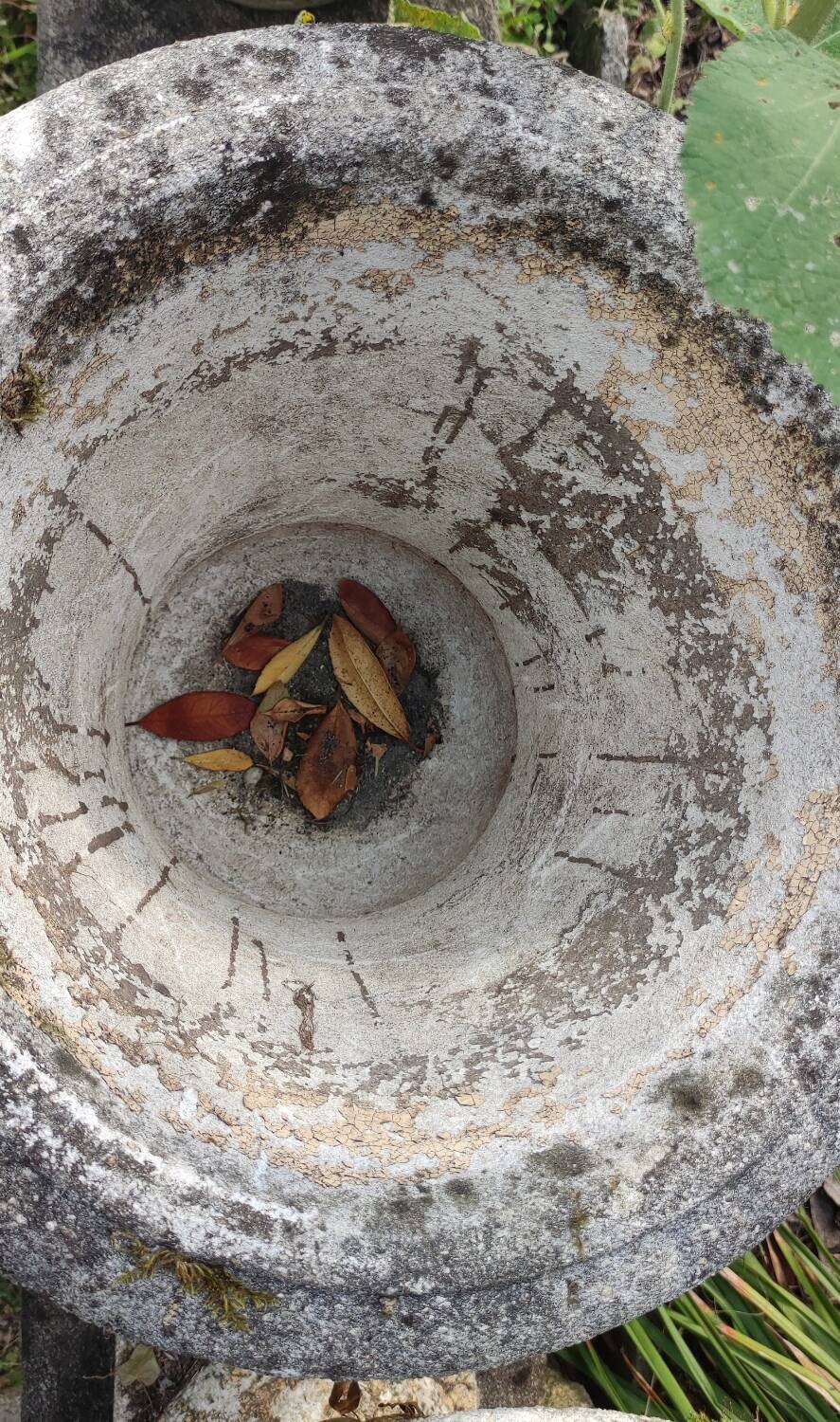 Pair of antique Medici stone vases