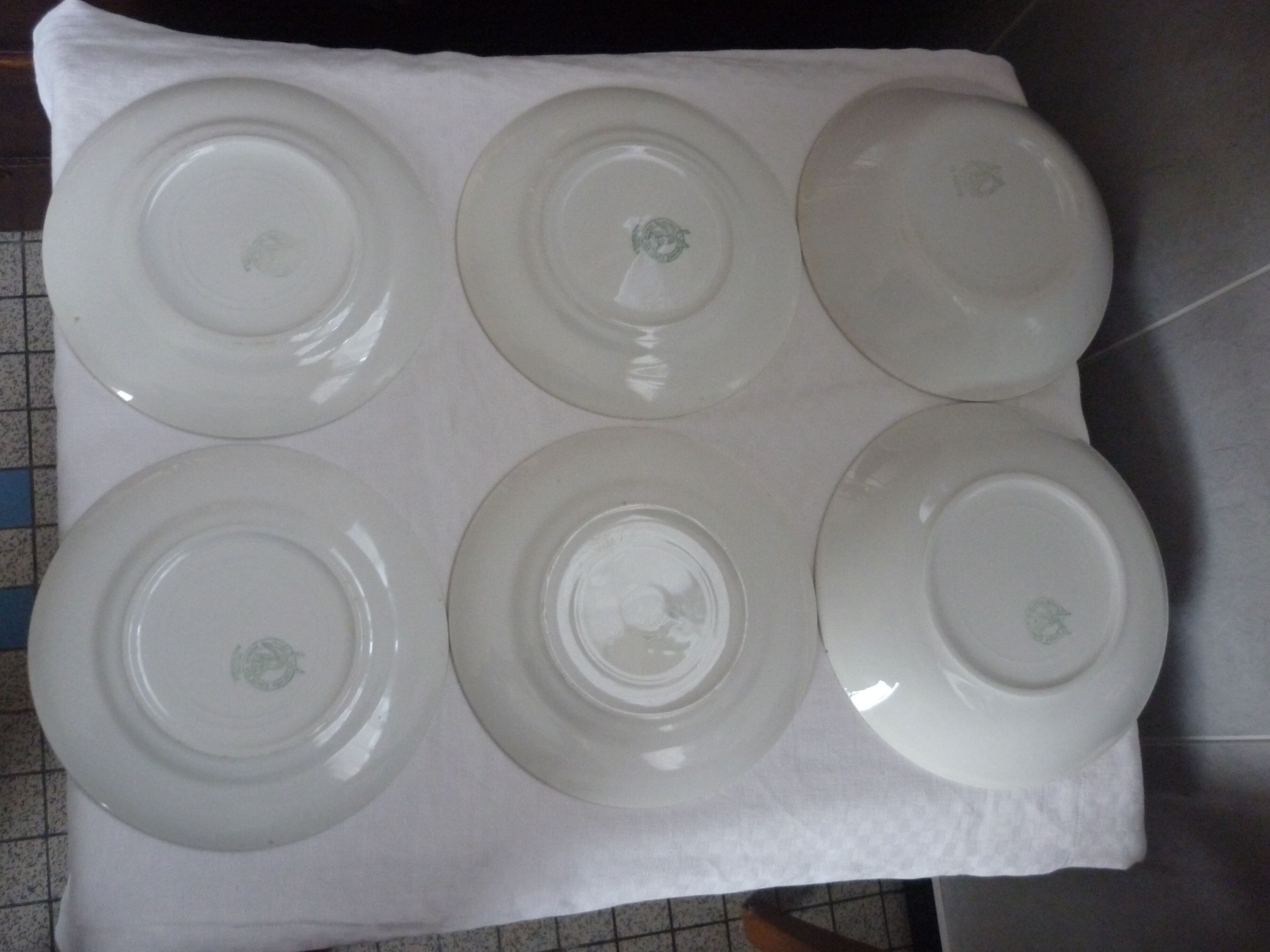 Lot of 6 plates mill of wolves model tablecloth
