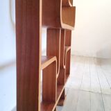 Vintage Czech screen by Ludvik Volak, 1960 for Drevopodnik Holesov