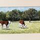 Pastoral oil painting, cows in the meadow