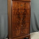 Small Secretary/Chiffonier in Mahogany Burl and Lemonwood – 1900