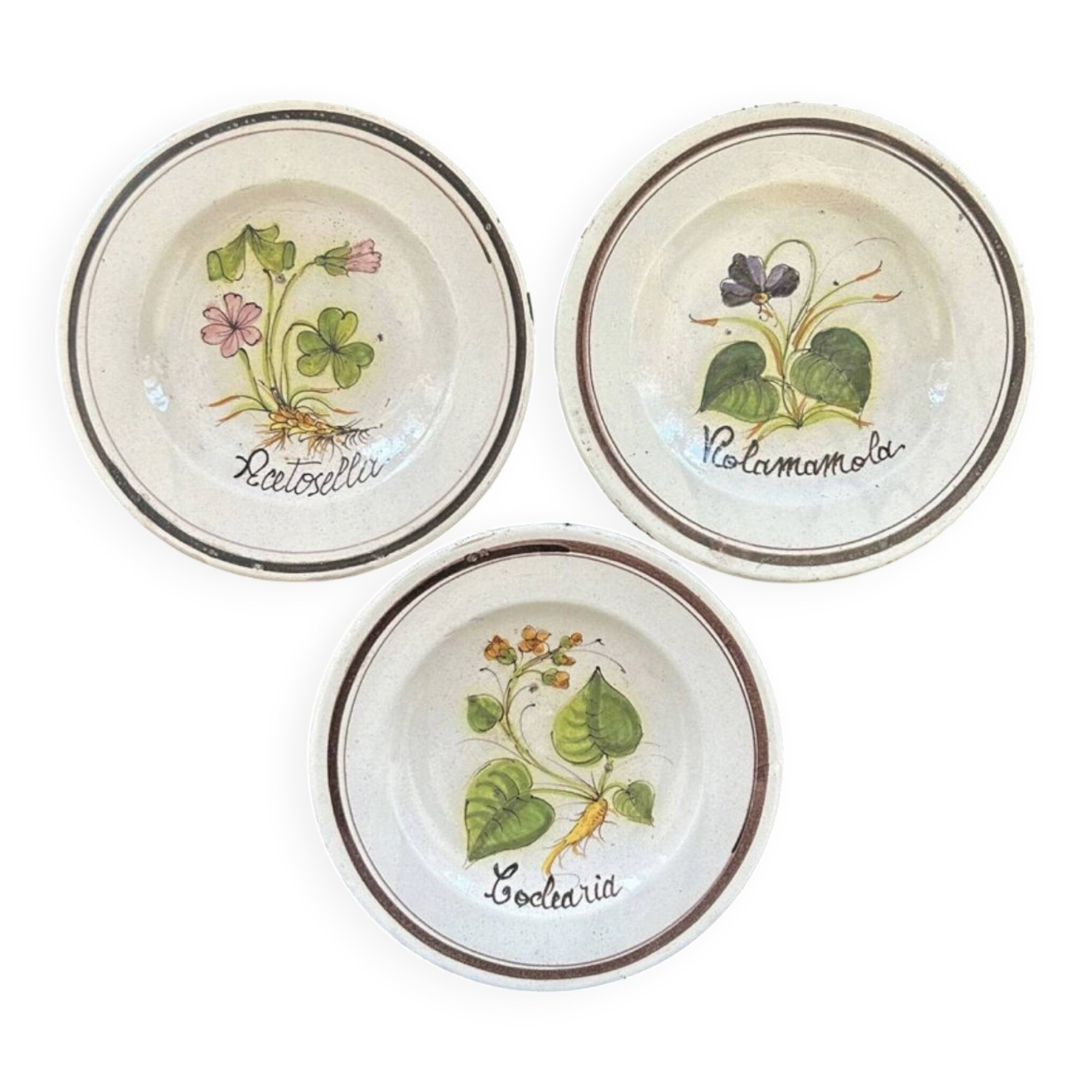 Collection of 3 botanical dishes made in Italy.