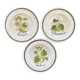 Collection of 3 botanical dishes made in Italy.
