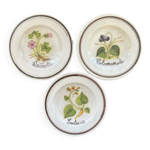 Collection of 3 botanical dishes made in Italy.