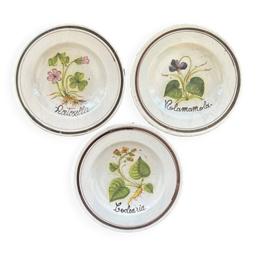 Collection of 3 botanical dishes made in Italy.