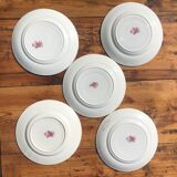 Set of 5 plates St Amandinoise model Iris