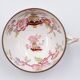 Cup and under cup Sarreguemines décor Minton n°248
