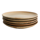 Stoneware dinner plates