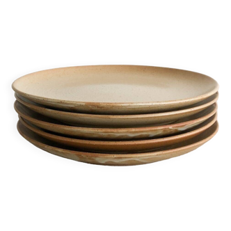 Stoneware dinner plates