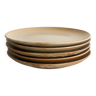 Stoneware dinner plates