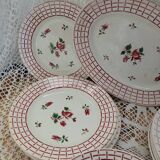 12 plates + 1 Digoin and Sarreguemines dish