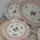 12 plates + 1 Digoin and Sarreguemines dish