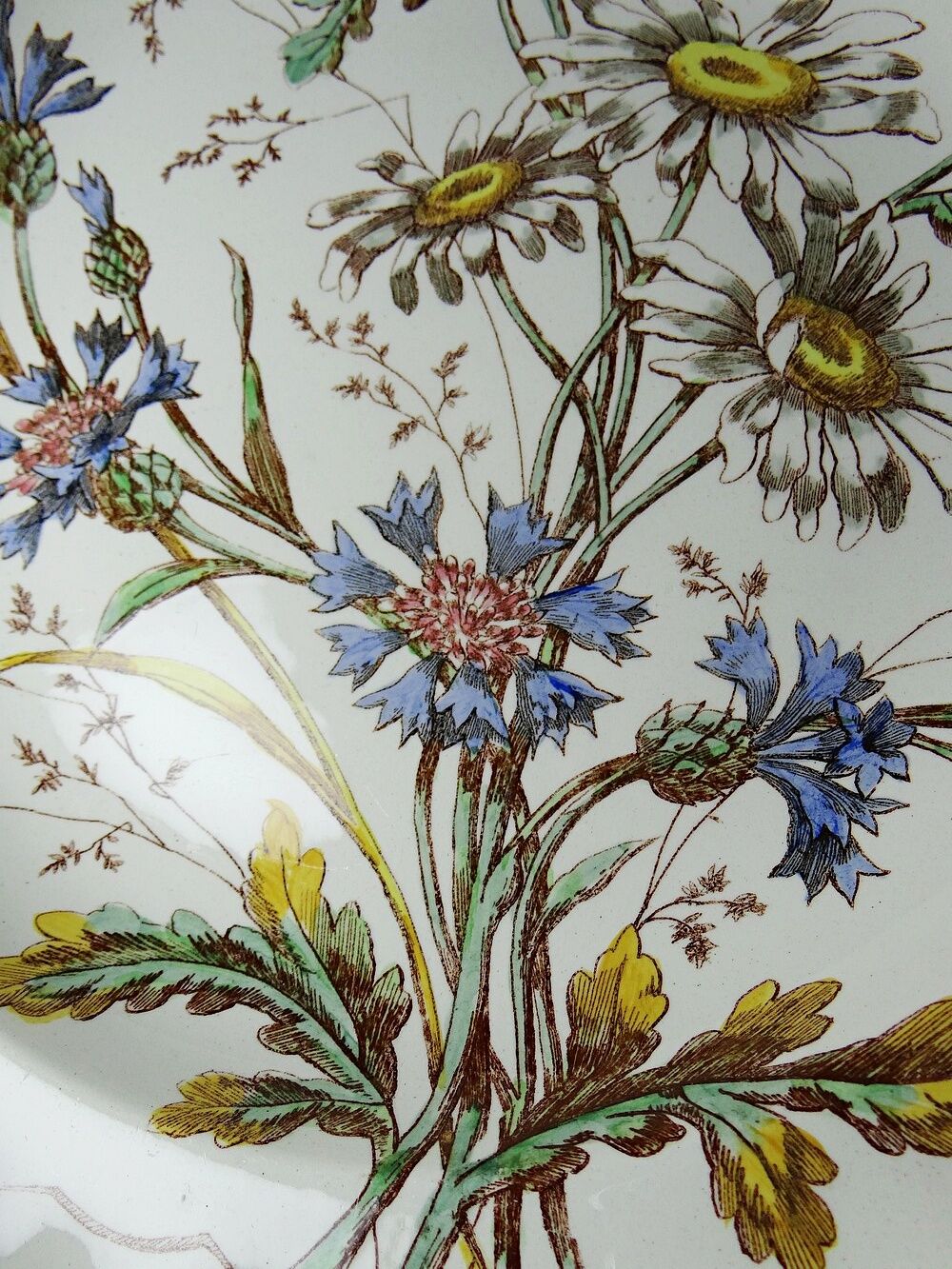 Antique Longchamp shallow dish with polychrome daisies in ironstone.