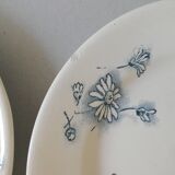 Set of 8 flat plates, Givors faience, daisy model
