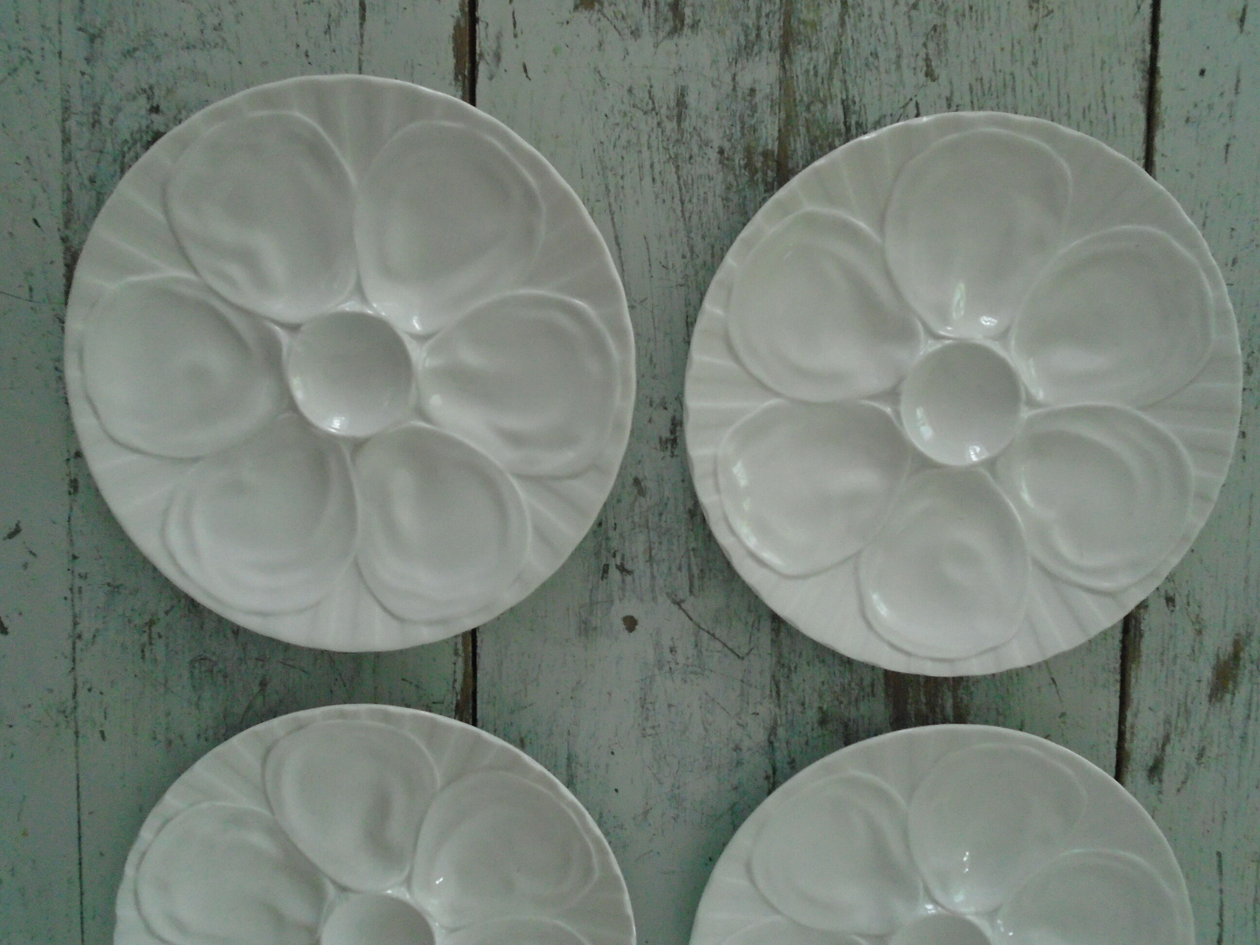 6 plates with white presentation oysters Pillivuyt France