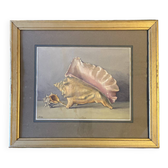 Old painting, still life with shells, 20th century