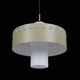 Mid-century pendant lamp / opal glass / brass / light green / Danish modern design / 1960s / 1970s