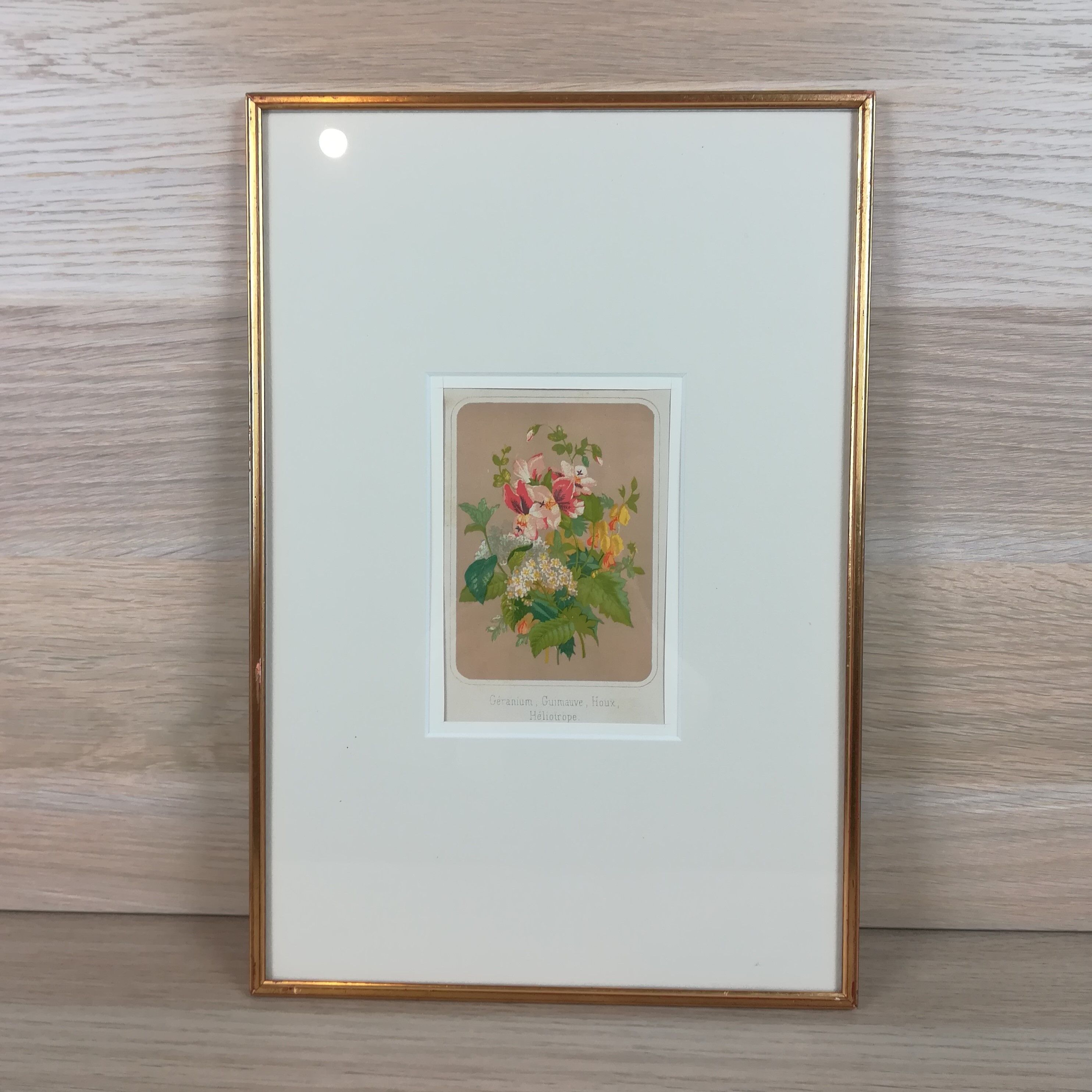 Framed botanical illustration - geranium &co