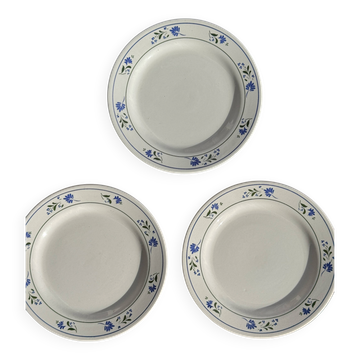 Set of 3 small dessert plates with a blue flower border, no brand.