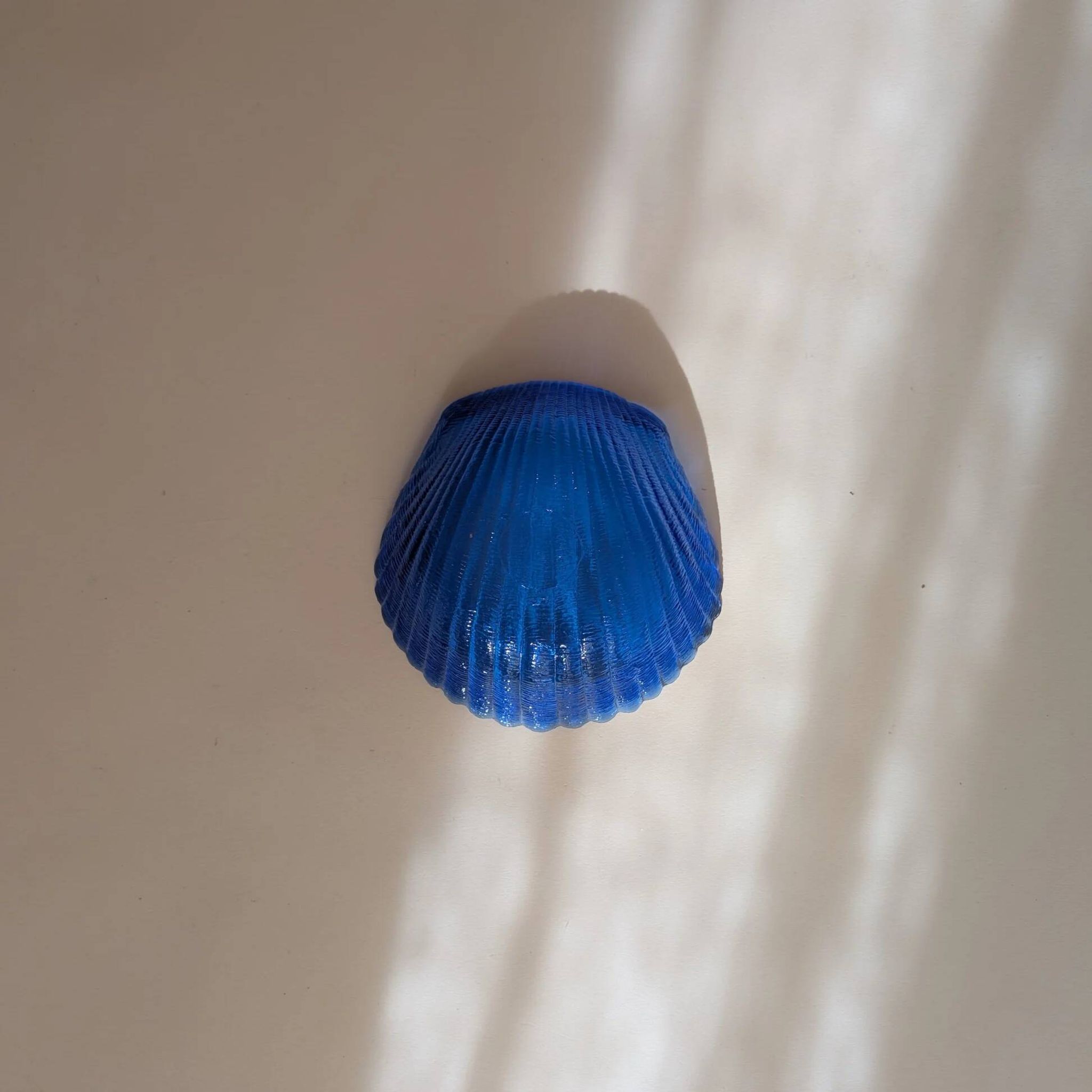 Coupelle coquillage bleue