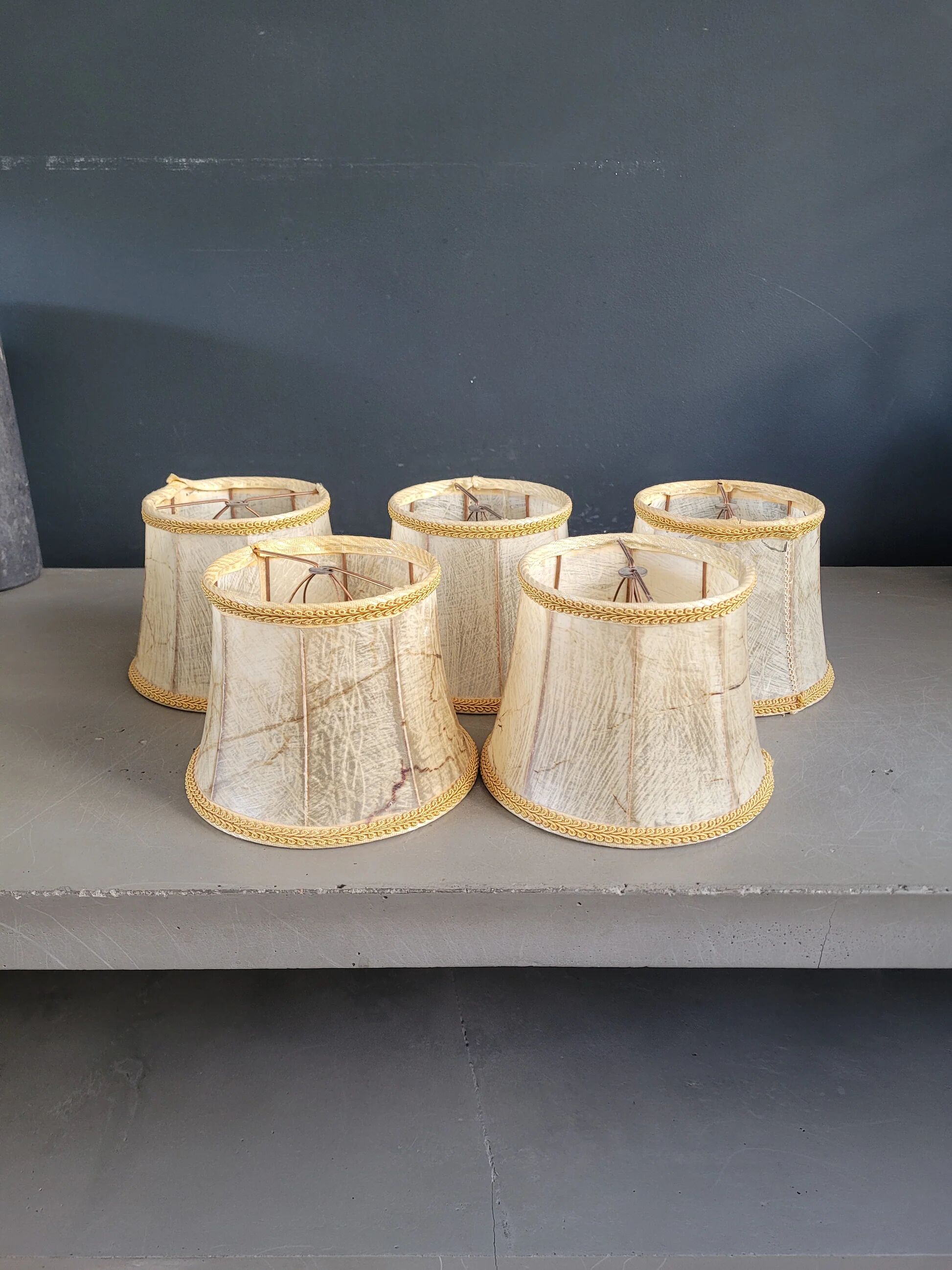 Set of 5 clip lampshades made from pig bladder.