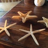 Lot of four authentic starfish
