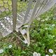 Public bench, street furniture, wrought iron garden bench