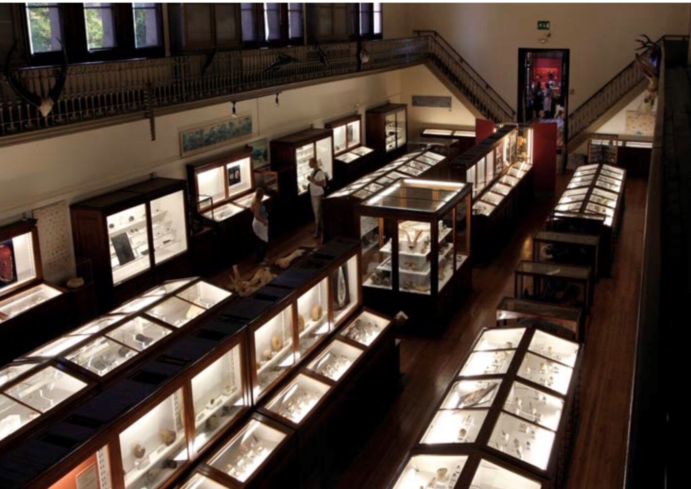 Vitrine XXème