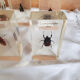 Lot de 10 véritables insectes en inclusion de résine