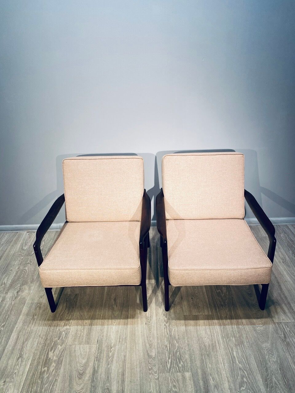 Paire de fauteuils  Z. Bàczyk millésime 60'
