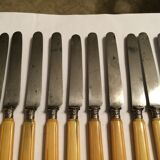 Set of 10 blade knives in steel cheese and dessert