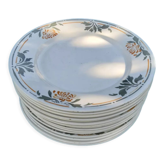 Badonviller earthenware flat plates