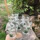 Lot verres anciens décor muguet