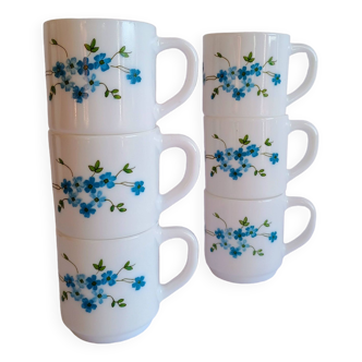 6 tasses expresso Arcopal Myosotis Véronica