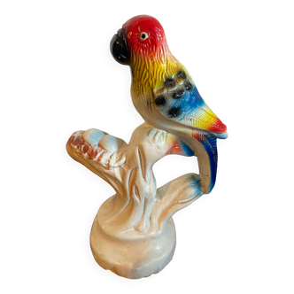 Parrot on its branch