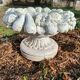 Pair of round stone fruit bowls on foot